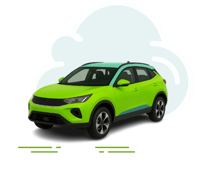 Electric Vehicle